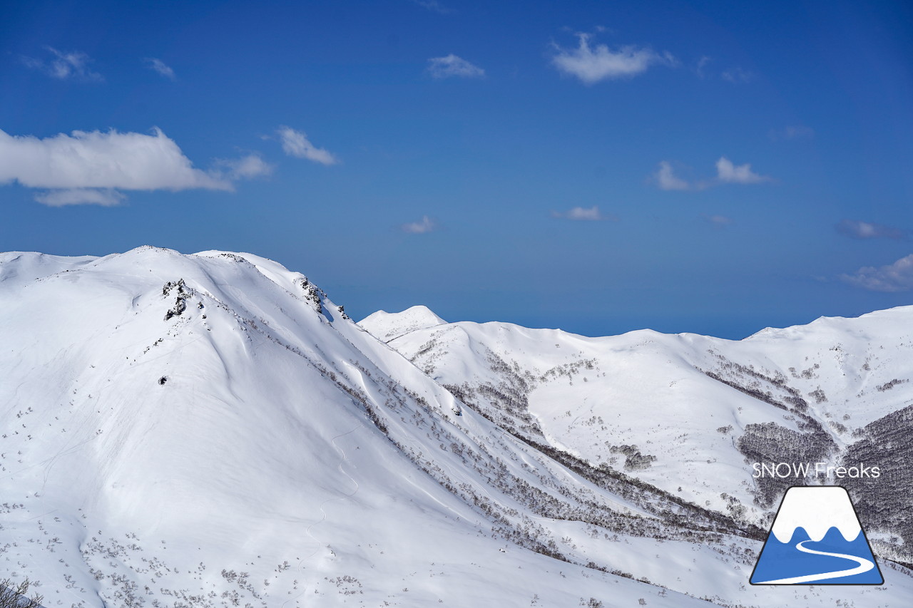 ニセコグラン・ヒラフ　もうすぐ4月。森林限界を超えると…、そこには『粉雪』が待っていました♪